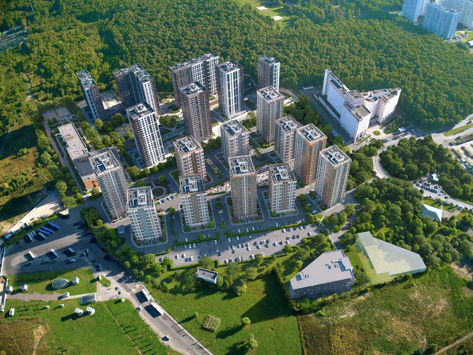 Зеленая Вертикаль, фото 5